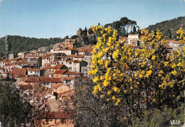 83-BORMES LES MIMOSAS-N°C4101-C/0251 - Bormes-les-Mimosas