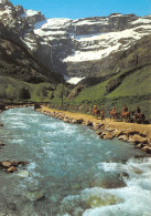 65-GAVARNIE-N°C4101-C/0213 - Gavarnie