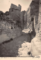 13-LES BAUX DE PROVENCE-N°C4101-A/0207 - Les-Baux-de-Provence