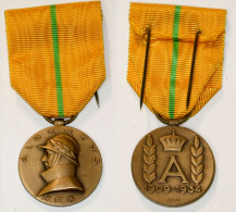 Militaria_403_ Médaille Commémorative Du Règne Du Roi Albert 1er-1909-1934 - België