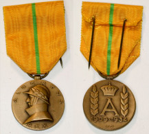Militaria_403_ Médaille Commémorative Du Règne Du Roi Albert 1er-1909-1934 - Belgio