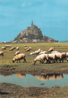 50-MONT SAINT MICHEL-N°C4101-D/0229 - Le Mont Saint Michel