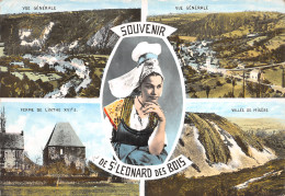 72-SAINT LEONARD DES BOIS-N°C4101-D/0143 - Saint Leonard Des Bois