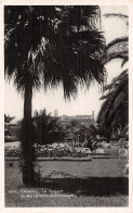 06-CANNES-N°LP5116-D/0171 - Cannes