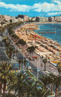 06-CANNES-N°LP5116-D/0067 - Cannes