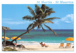 ANT-SAINT MARTIN-N°C4102-D/0105 - Andere & Zonder Classificatie