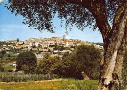 06-BIOT-N°C4102-C/0183 - Biot