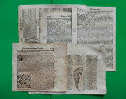 ST-DE LOT N. 5 BLATT PAPIER 1581~ Sebastian Munster  Holzschnitt - Estampes & Gravures