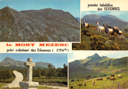 07-MONT MEZENC-N°C4103-A/0233 - Other & Unclassified