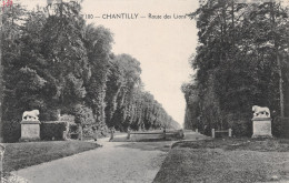 60-CHANTILLY-N°C4102-E/0077 - Chantilly