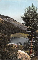 ET-SUISSE LAC DE MONTAGNE-N°LP5117-A/0085 - Mon