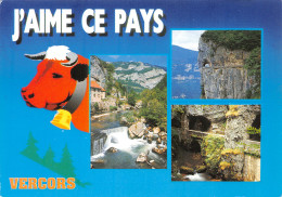 38-VERCORS-N°C4104-B/0035 - Vercors