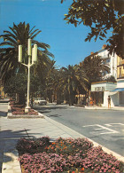 83-HYERES LES PALMIERS-N°C4104-B/0027 - Hyeres