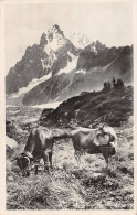 74-CHAMONIX MONT BLANC-N°LP5117-E/0335 - Chamonix-Mont-Blanc