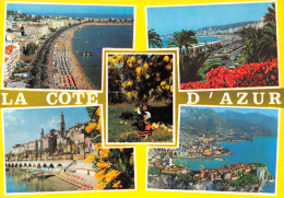 06-CANNES-N°C4104-D/0071 - Cannes