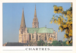 28-CHARTRES-N°C4104-D/0059 - Chartres