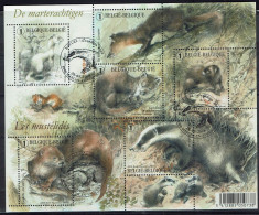 Belgie 2008 - OBP BL161° (3831/36) Marterachtige - 2002-… (€)