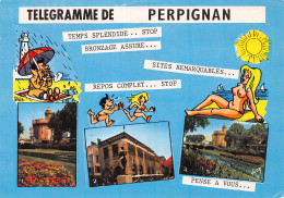 66-PERPIGNAN-N°C4104-C/0149 - Perpignan