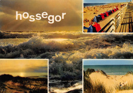 40-HOSSEGOR-N°C4105-B/0075 - Hossegor