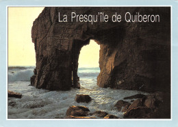 56-QUIBERON-N°C4105-A/0353 - Quiberon