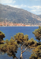 06-MENTON-N°C4104-D/0367 - Menton