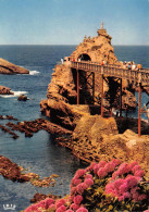 64-BIARRITZ-N°C4105-C/0179 - Biarritz