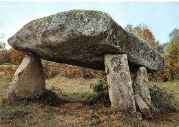 87-LE LIMOUSIN LE DOLMEN DE LA PIERRE LEVEE-N°C4105-B/0313 - Other & Unclassified