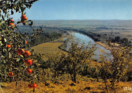 47-EN LOT ET GARONNE-N°C4106-A/0061 - Autres & Non Classés