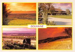 74-DOUVAINE-N°C4106-D/0365 - Douvaine