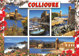 66-COLLIOURE-N°C4106-D/0299 - Collioure