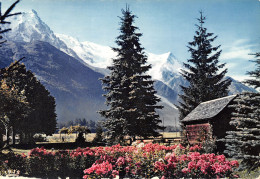 74-CHAMONIX MONT BLANC-N°C4106-D/0037 - Chamonix-Mont-Blanc