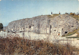 55-DOUAUMONT-N°C4106-C/0339 - Douaumont