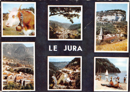39-LE JURA-N°C4106-C/0111 - Autres & Non Classés
