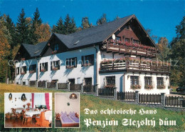 73371283 Jesenik Das Schlesische Haus Pensin Slezsky Dum Jesenik - Tschechische Republik