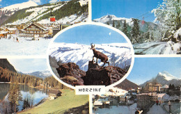 74-MORZINE-N°C4106-E/0303 - Morzine