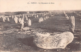 56-CARNAC-N°C4106-E/0203 - Carnac