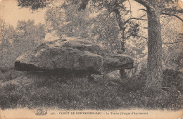 77-FONTAINEBLEAU LA FORET LA TORTUE-N°LP5119-D/0239 - Fontainebleau