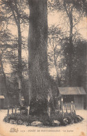 77-FONTAINEBLEAU LA FORET LE JUPITER-N°LP5119-C/0375 - Fontainebleau