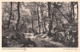 77-FONTAINEBLEAU LA FORET LA GORGE DU LOUP-N°LP5119-C/0333 - Fontainebleau