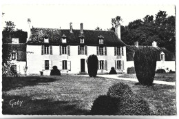 JANZE - Château De La Jaroussaye - Altri & Non Classificati