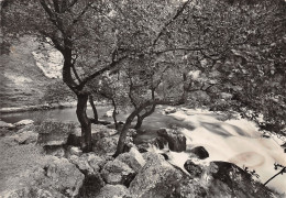 84-FONTAINE DE VAUCLUSE-N°C4107-D/0293 - Autres & Non Classés