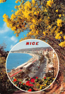 06-NICE-N°C4107-D/0081 - Autres & Non Classés