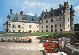 37-AMBOISE-N°C4107-C/0331 - Amboise