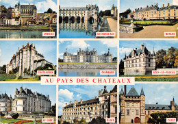 41-CHATEAUX DE LA LOIRE-N°C4107-C/0253 - Sonstige & Ohne Zuordnung