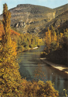 48-GORGES DU TARN-N°C4107-C/0241 - Gorges Du Tarn