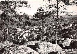 77-FONTAINEBLEAU-N°C4107-C/0157 - Fontainebleau