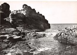 22-ILE DE BREHAT-N°C4107-C/0079 - Ile De Bréhat