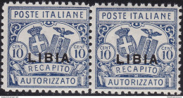 1929 LIBIA, Recapito Autorizzato N° 1 Coppia Dentellata 11 MNH/** Firma Oliva - Libië