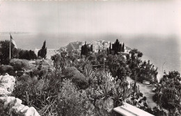 98-MONACO JARDIN EXOTIQUE-N°LP5119-F/0031 - Andere & Zonder Classificatie