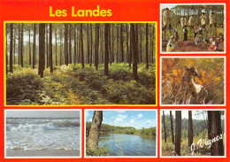 40-LES LANDES-N°C4108-B/0029 - Other & Unclassified